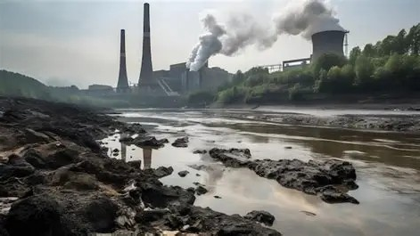 Coal